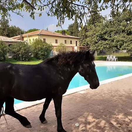 Bed & Breakfast Casale Del Gufo